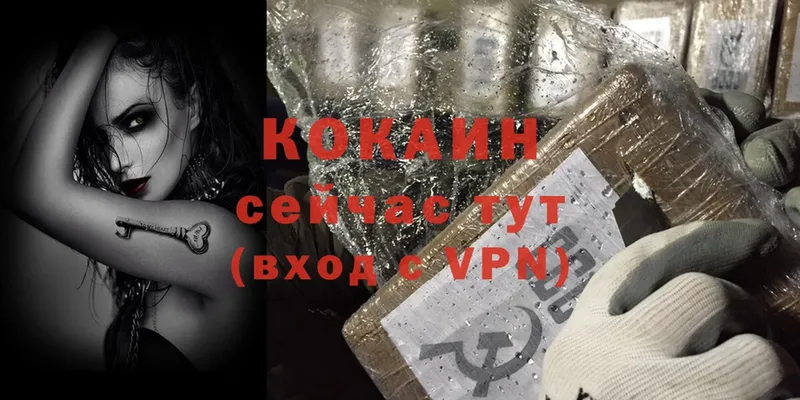 кракен как зайти  Горбатов  COCAIN Боливия 